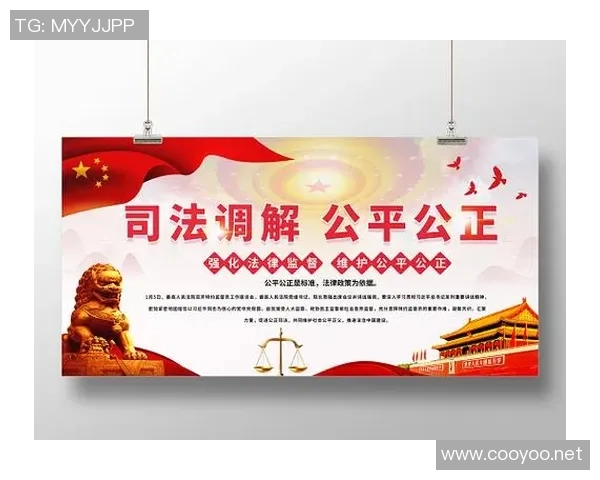 法律视角下的社会责任与道德义务如何影响现代司法公正的实现